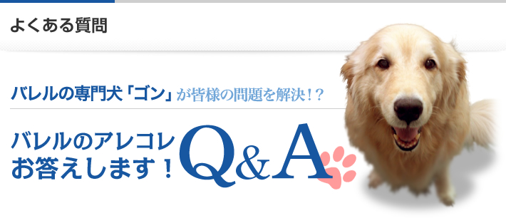 バレルの専門犬「ゴン」が皆様の問題を解決!?